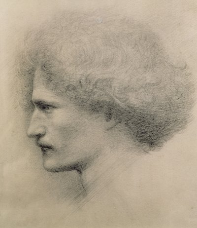 Retrato de Ignacy Jan Paderewski (1860-1941) gravado por Frederick Hollyer (1837-1933) (platinotype) de Edward Burne-Jones